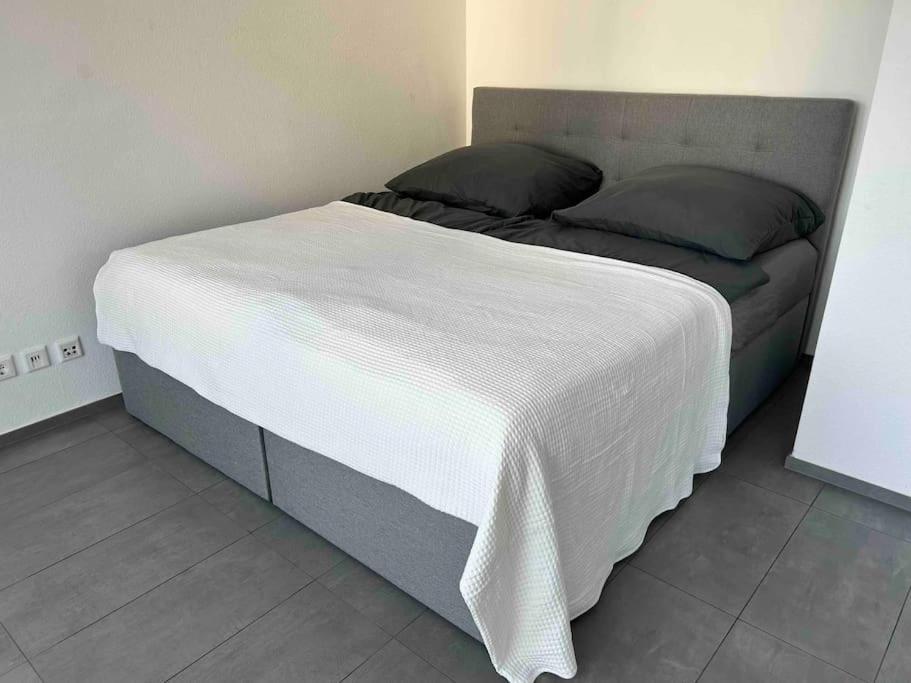 Luxus Mitte * Darmstadt