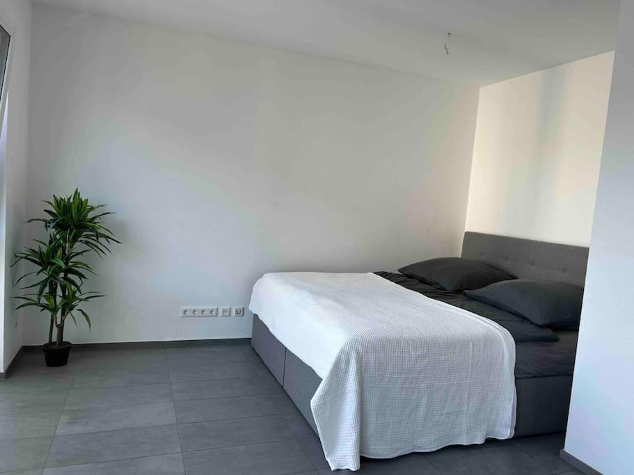 Apartment Luxus Mitte